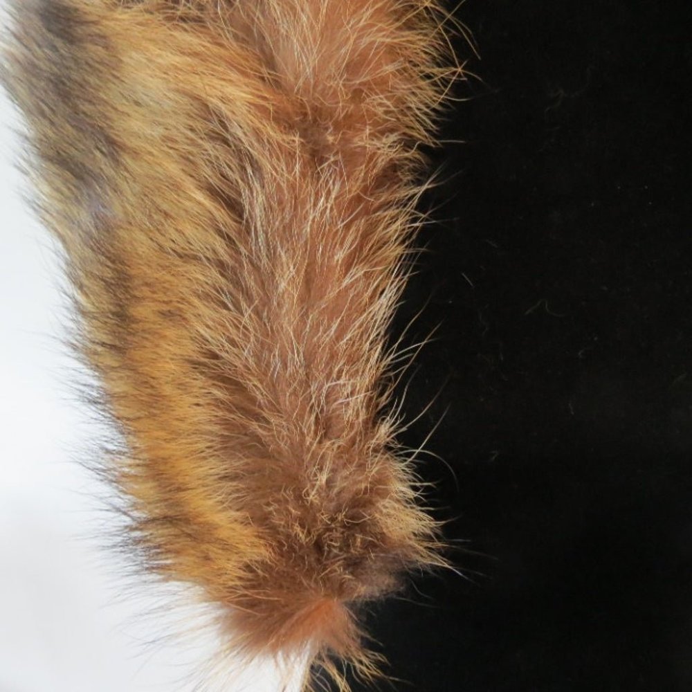 Genuine Raccoon Collar - Picture 5 of 8